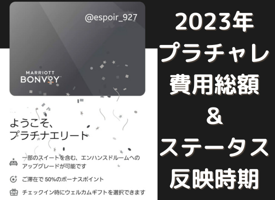 プラチナチャレンジ2023年かかった費用を大公開！いつ反映された  
