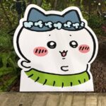 ハチワレ