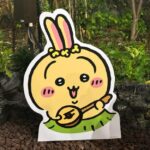 うさぎ