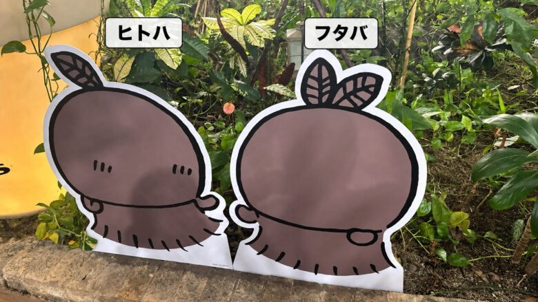 映画ちいかわに登場するヒトハとフタバのフォトスポット