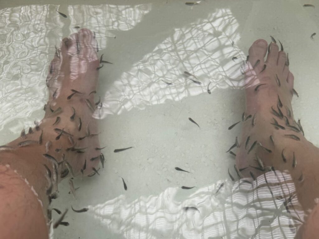 ハワイアンズ館内で体験したドクターフィッシュ