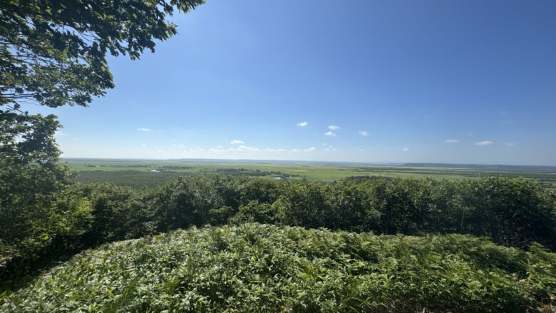 細岡展望台から見た湿原と蛇行する川