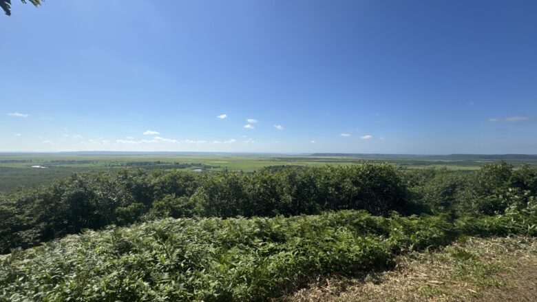 細岡展望台から見た夏の釧路湿原