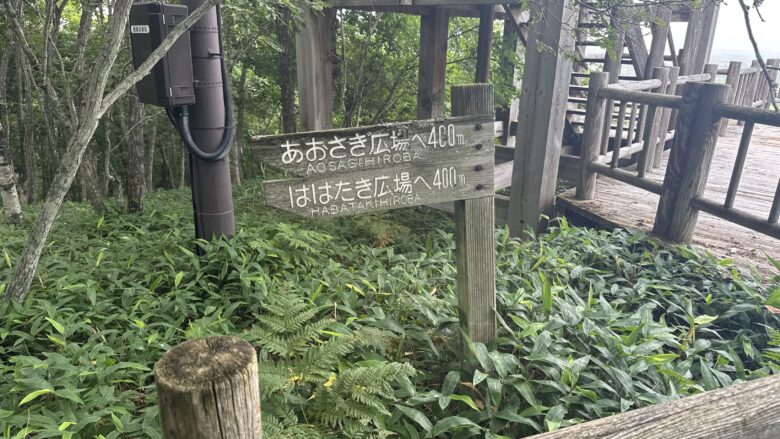 サテライト展望台から駐車場へ戻る緩やかな道