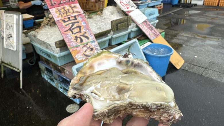 手に持った殻付きの岩牡蠣