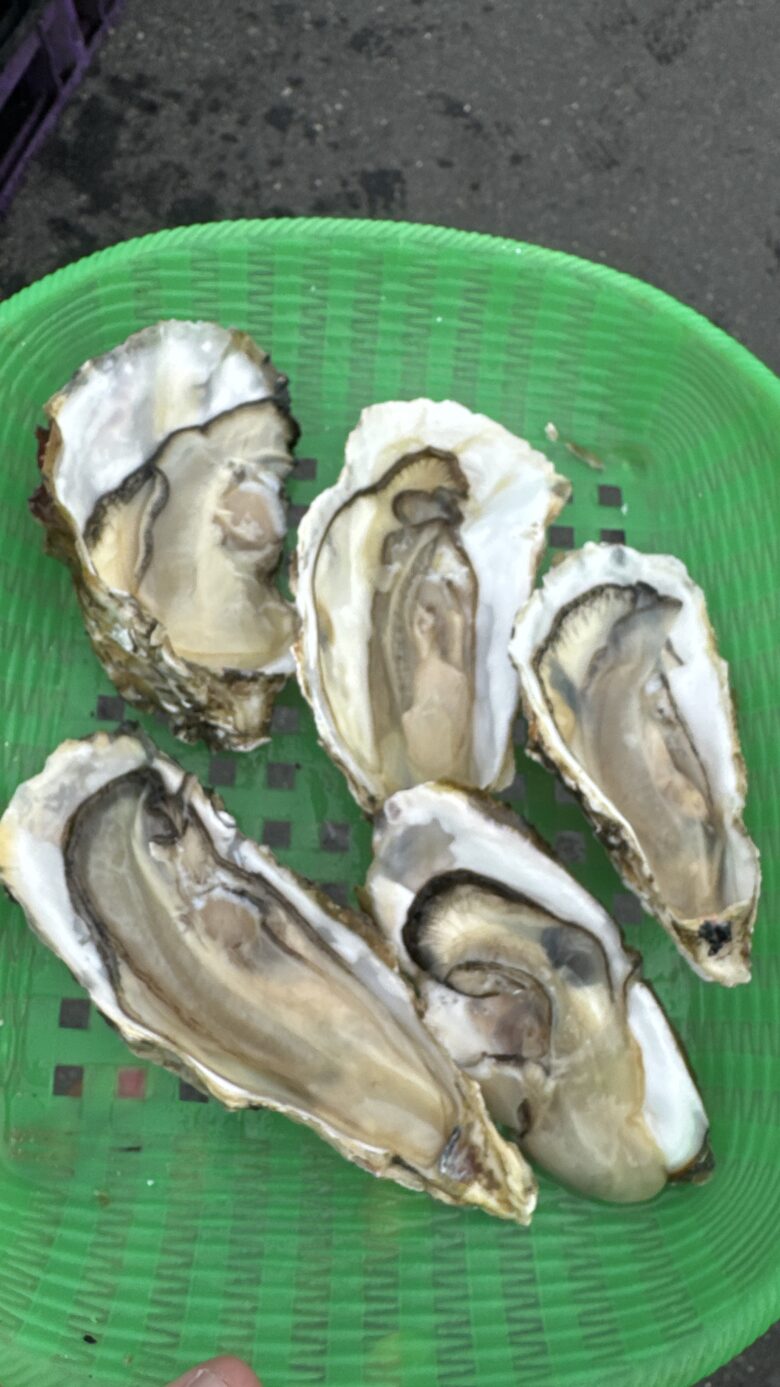 かごに並んだ殻付きの生牡蠣